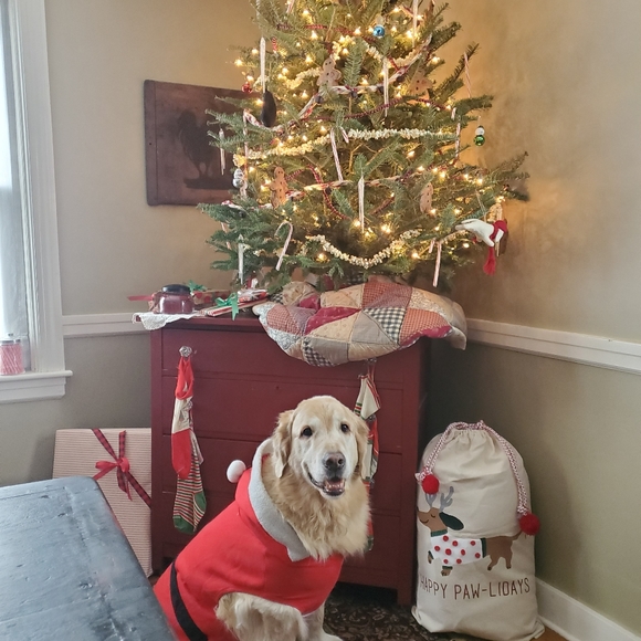 Meet your Posher, Alicia - Picture 3 of 3